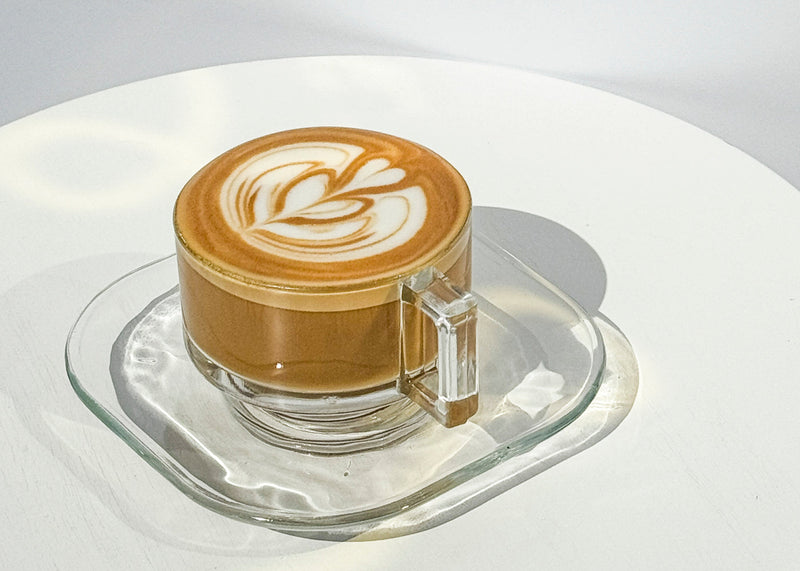 Discover the 8 Best Non-Dairy Milk Alternatives