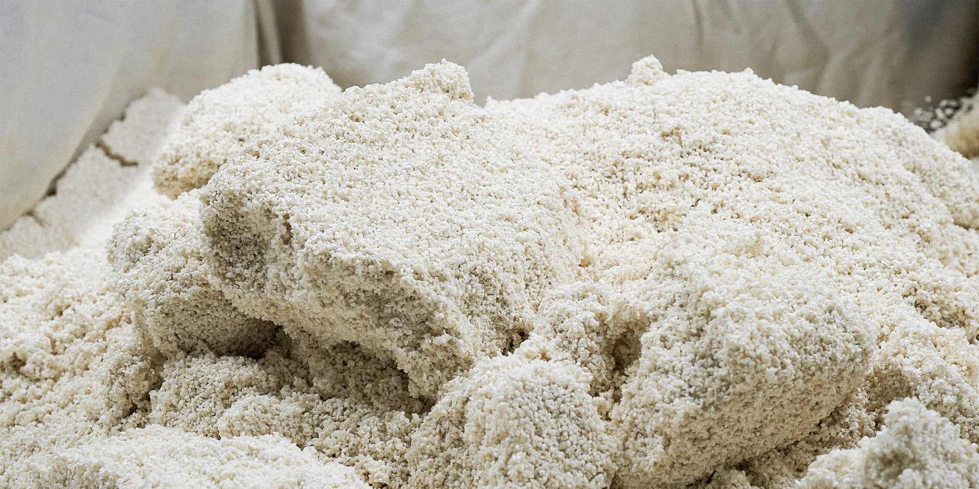 What is Koji? Discover the Benefits and Uses of This Ancient Ingredient ...